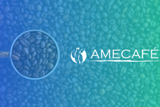 amecafe firma electronica